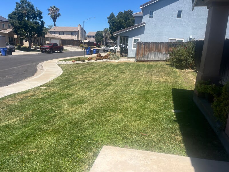 large front yard - 3978 Seagull Ct