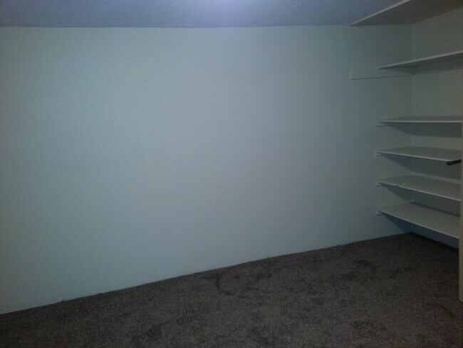 Building Photo - 4 bedroom 3 bathroom w/basement