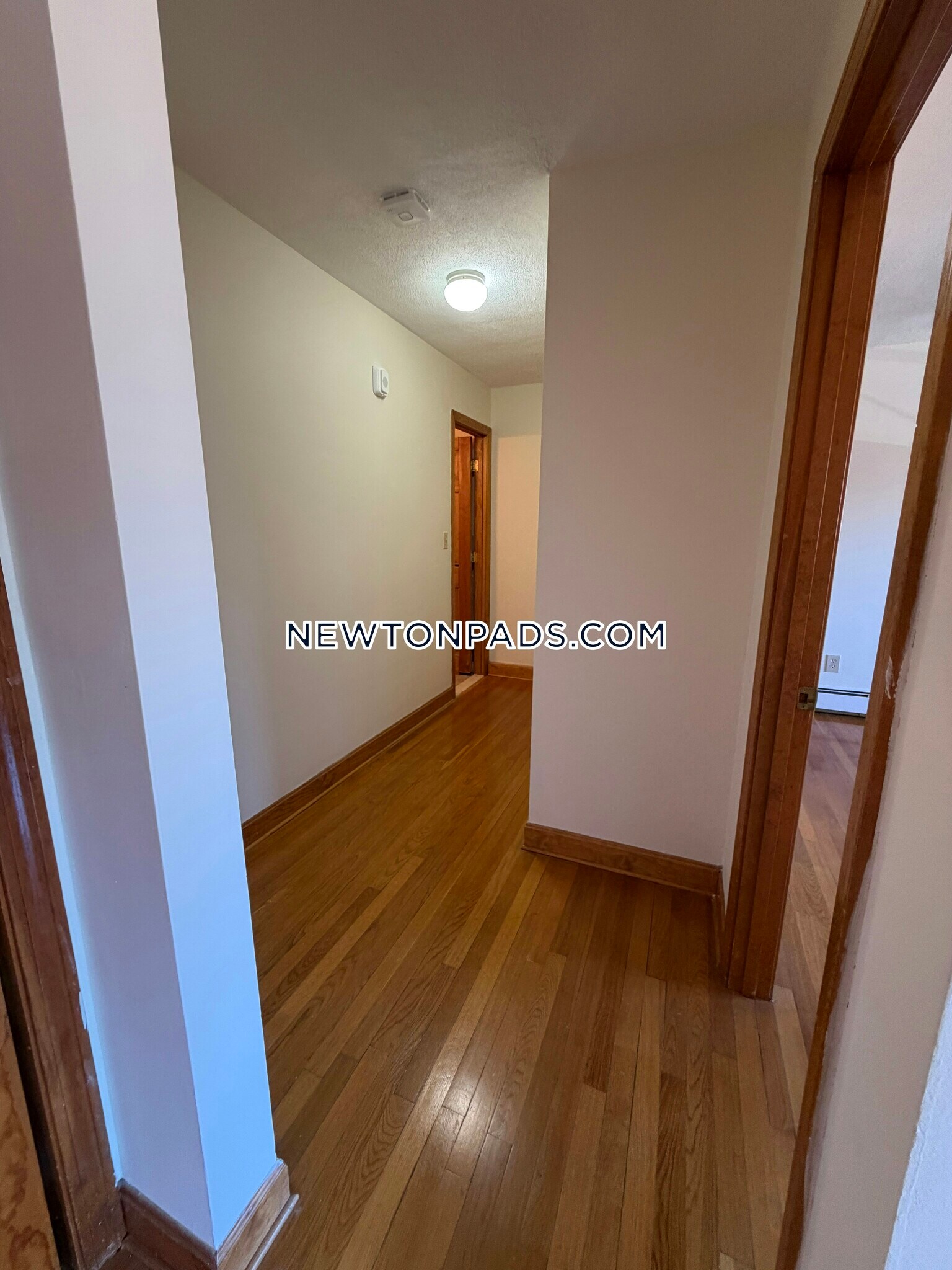 Building Photo - 282 Grove St