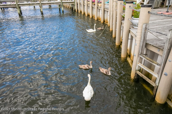 Building Photo - 1332 Ocean Ave