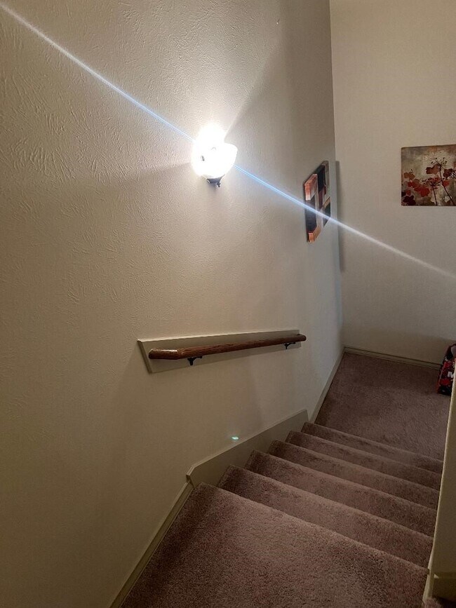 Building Photo - 3419 Selene Dr