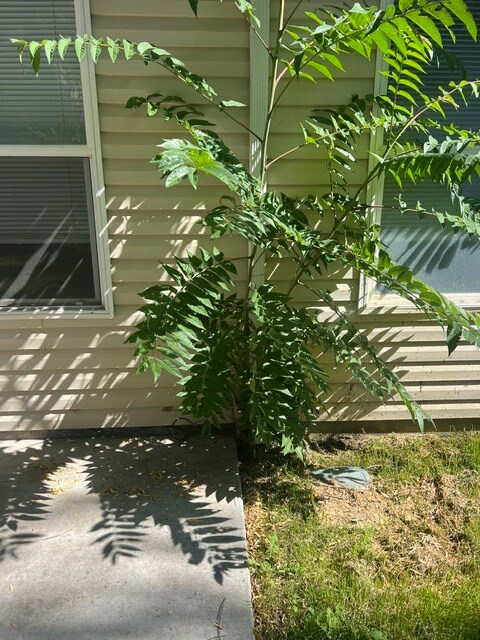 Building Photo - Newley Updated 3bed 2bath In West Nampa