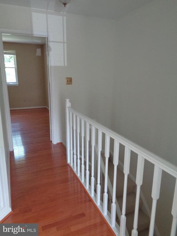 Building Photo - 10 Donagh Ct