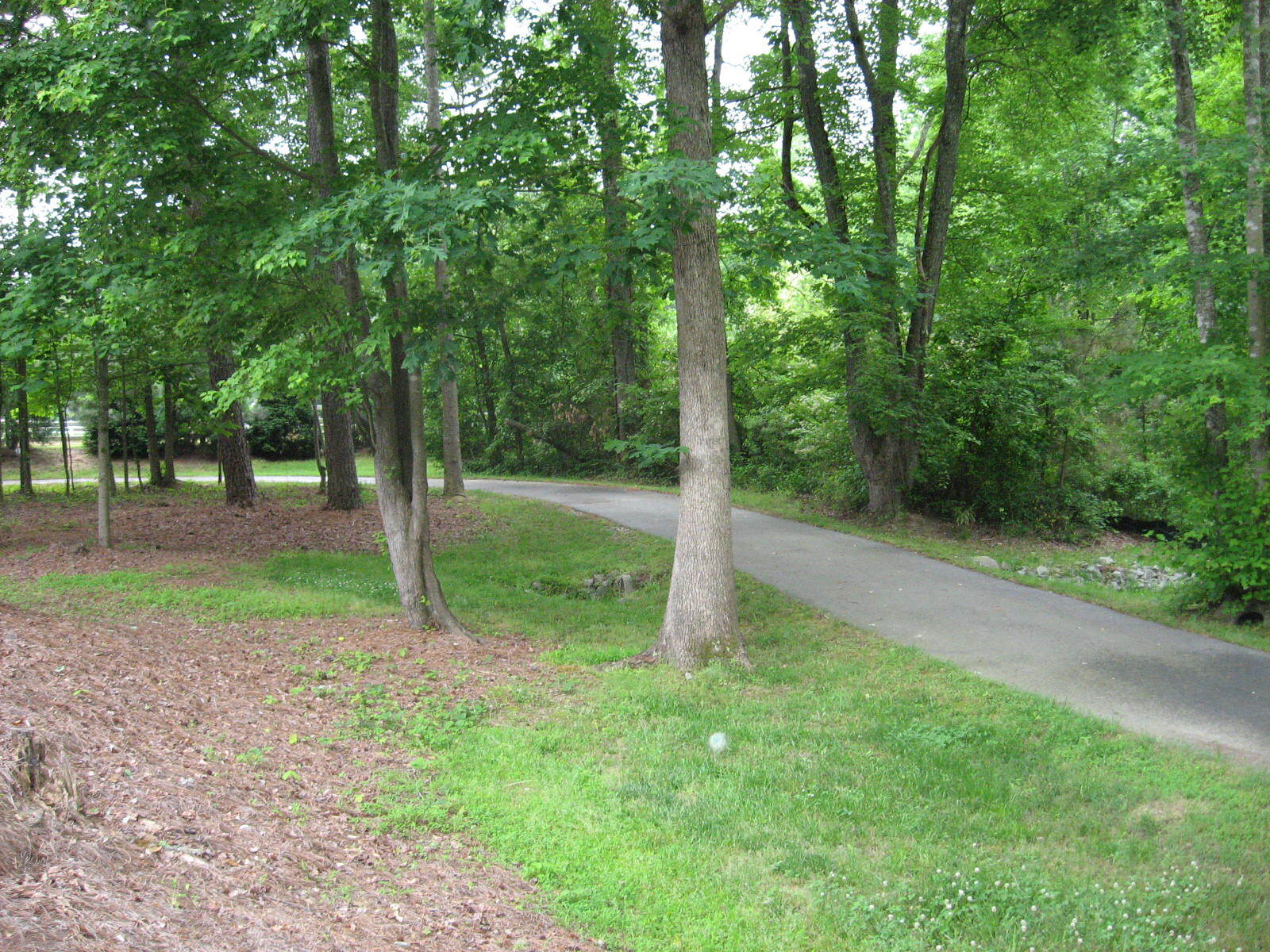 Building Photo - 1203 Fairfax Woods Dr