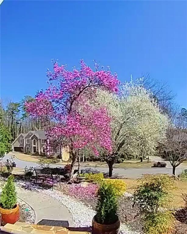 Building Photo - 1206 Camden Hunt Dr