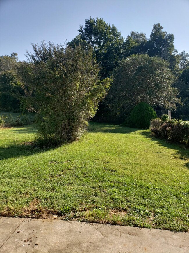 Building Photo - 8026 Strawberry Point Dr