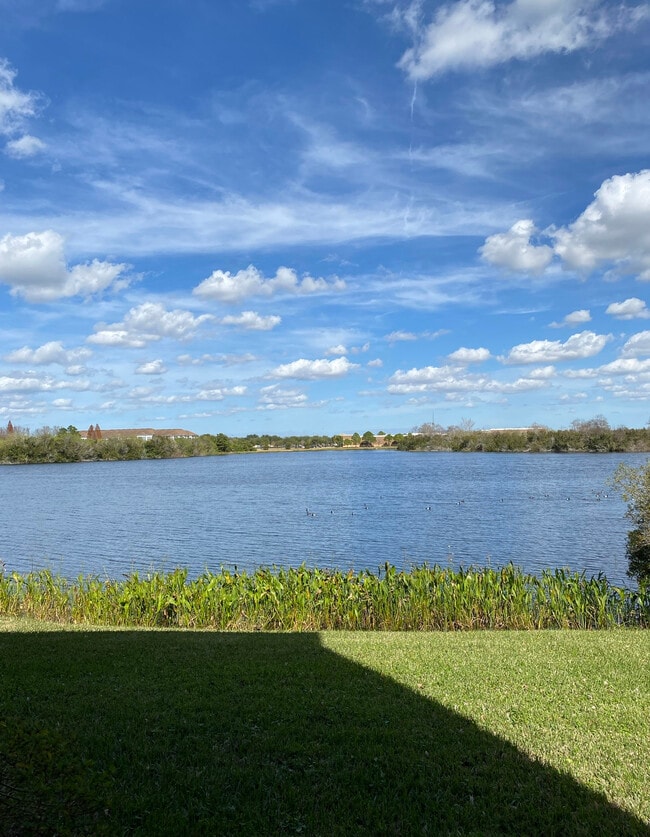 Building Photo - 2517 Lexington Oak Dr