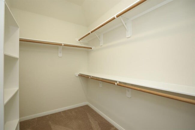 Building Photo - 4802 Elenas Bend Ct