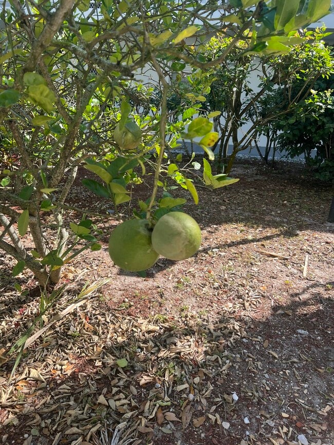 Building Photo - 2302 Sunrise Blvd