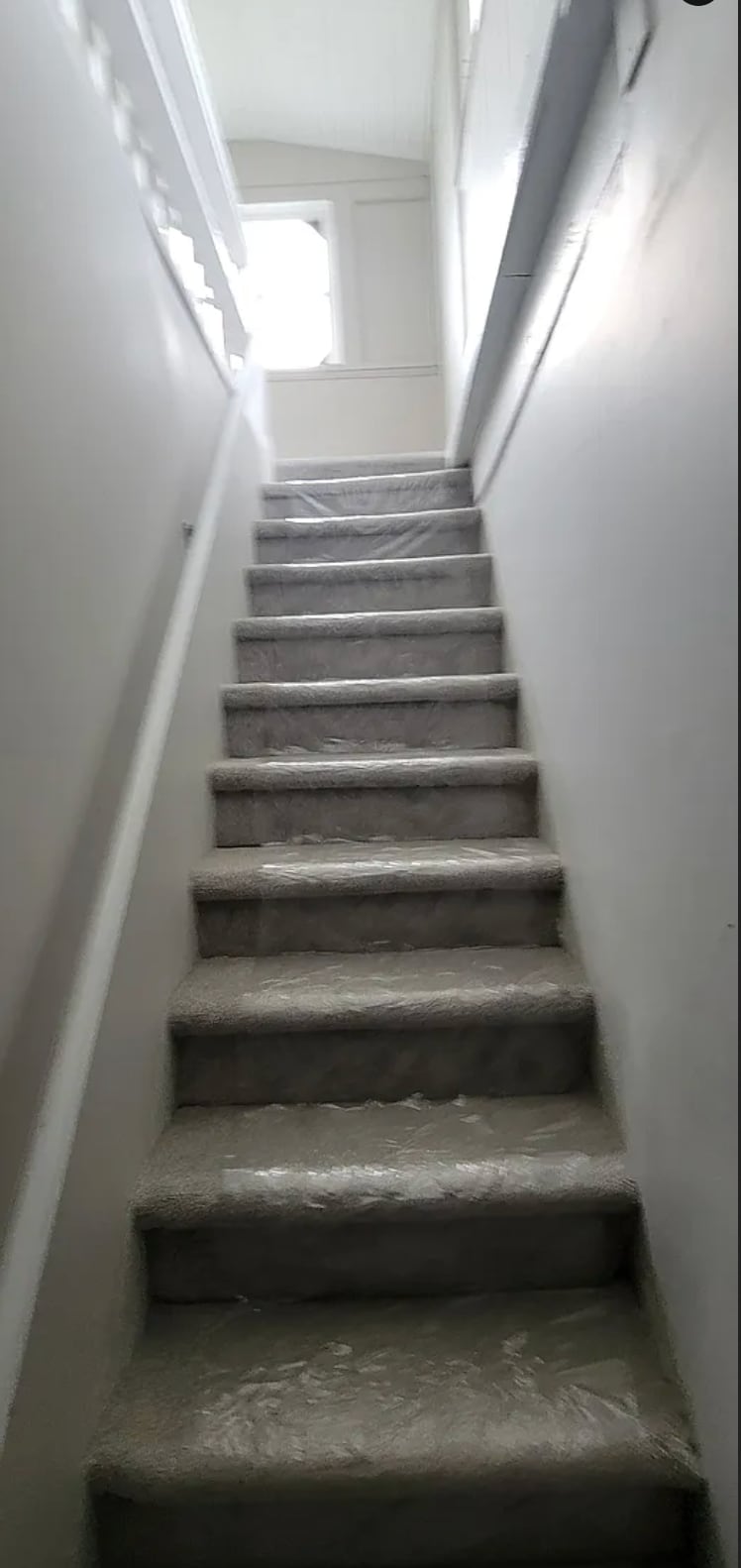 Newly recarpeted stairs leading to upstairs unit - 212 Summit St