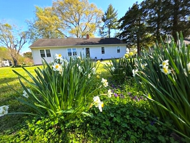 Building Photo - 104 Lee Dr