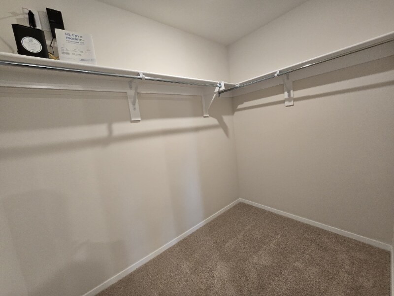 Building Photo - 2701 Murphy St