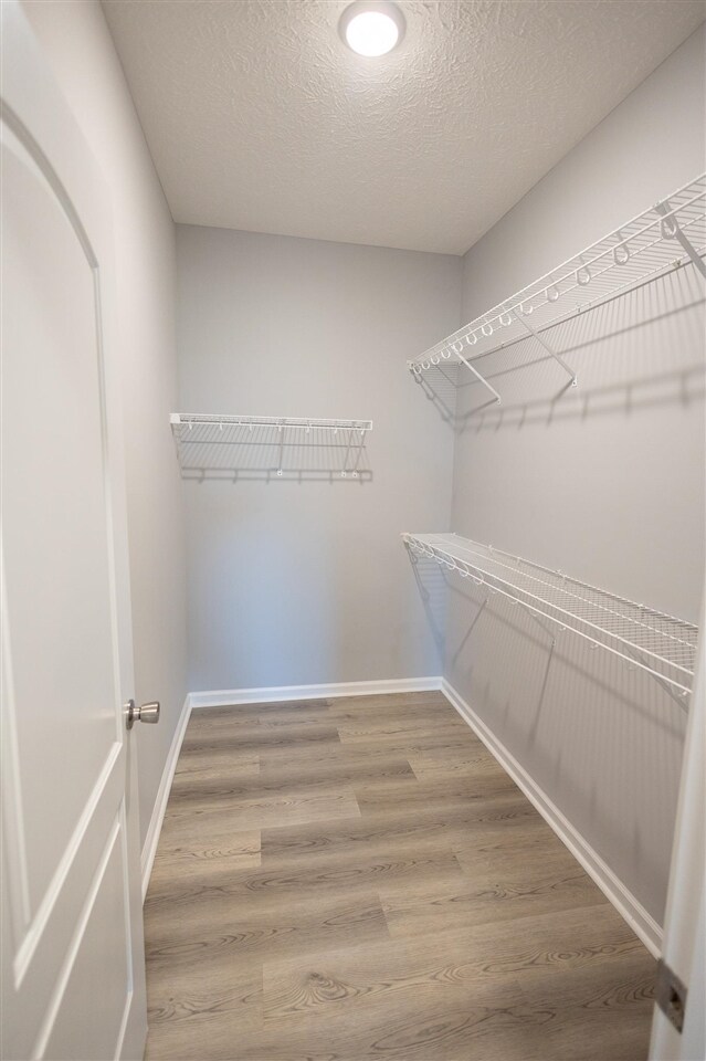 Building Photo - 2321 Trenton Ln