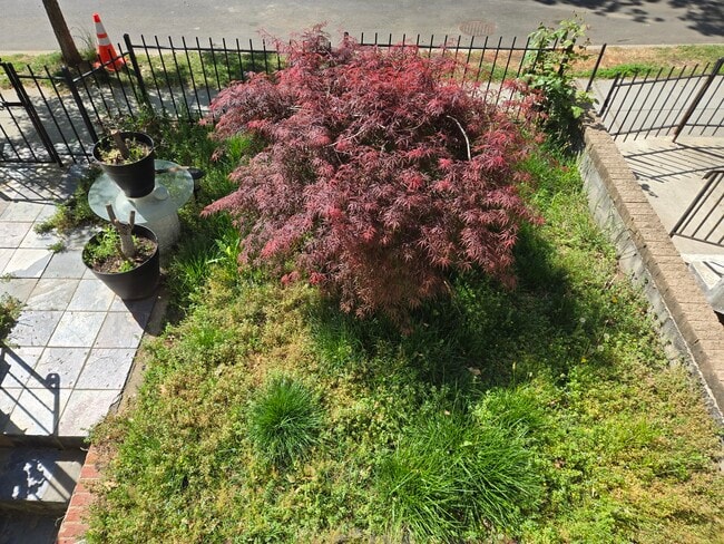 Building Photo - 619 Irving St NW