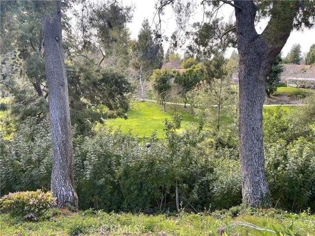 Building Photo - 638 Avenida Sevilla