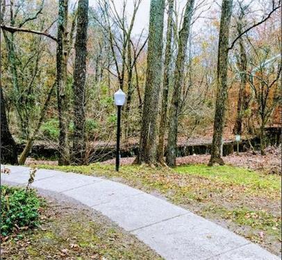 Building Photo - 706 Timber Creek Rd