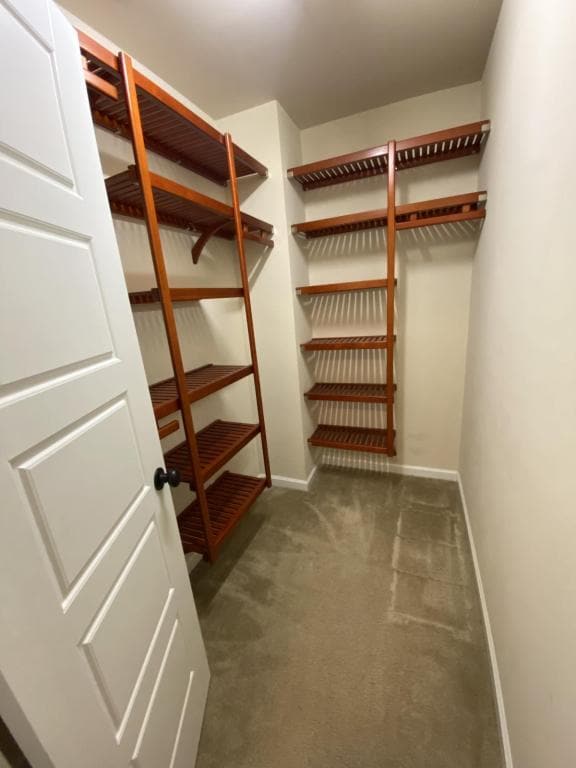 Building Photo - 36 Red Coat Dr