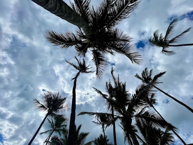 Building Photo - 679 S Kihei Rd