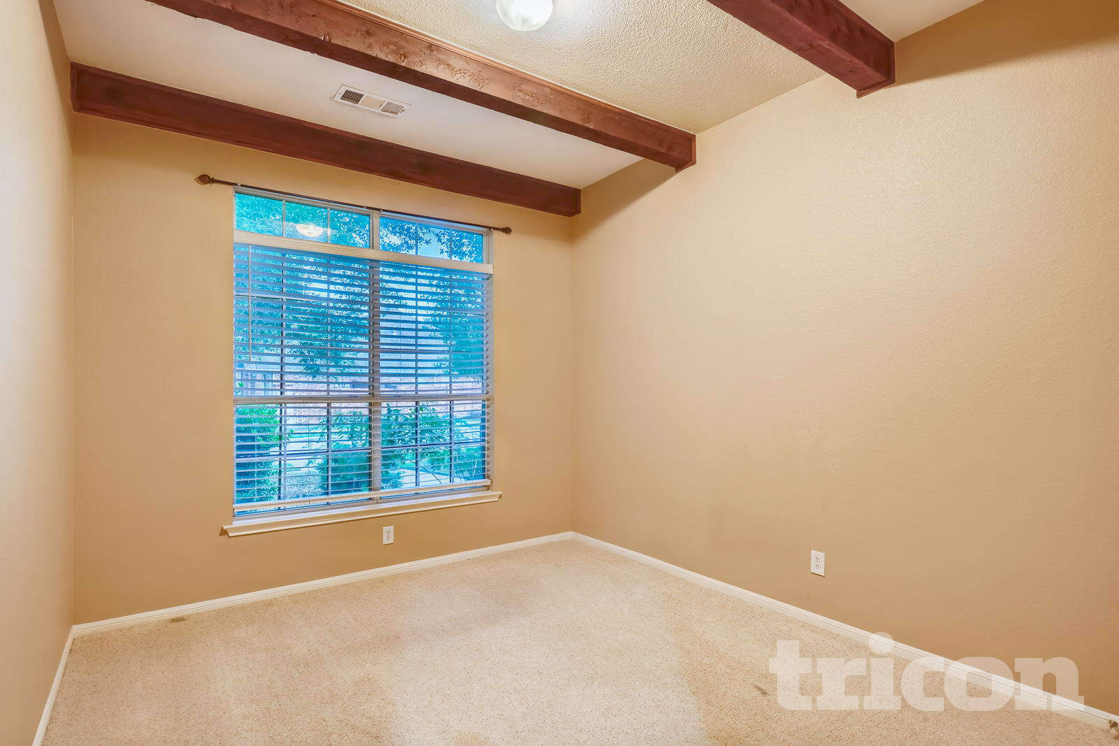 Building Photo - 4203 Wildbriar Ln