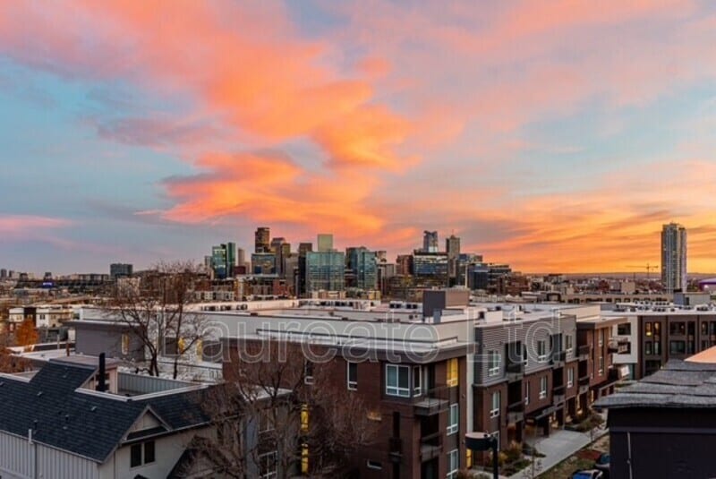 Building Photo - 3207 Shoshone St