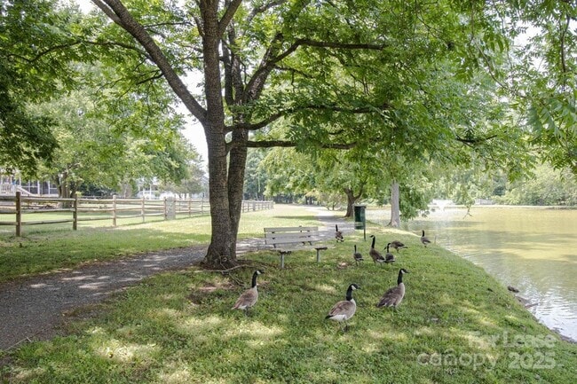 Building Photo - 14401 Widgeon Ct