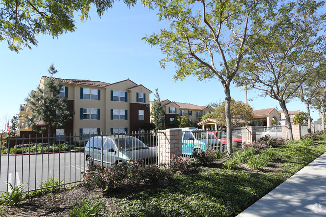 Building Photo - Camino Del Sol Apartments