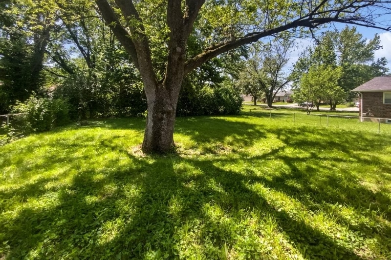 Building Photo - 2540 Courtyard Pl