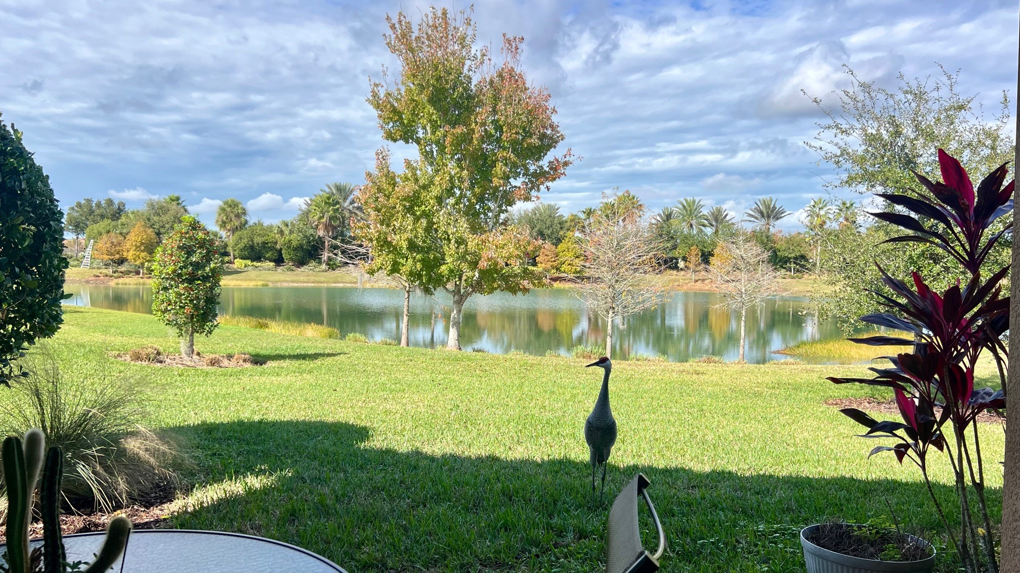 Building Photo - 11697 Callisia Dr