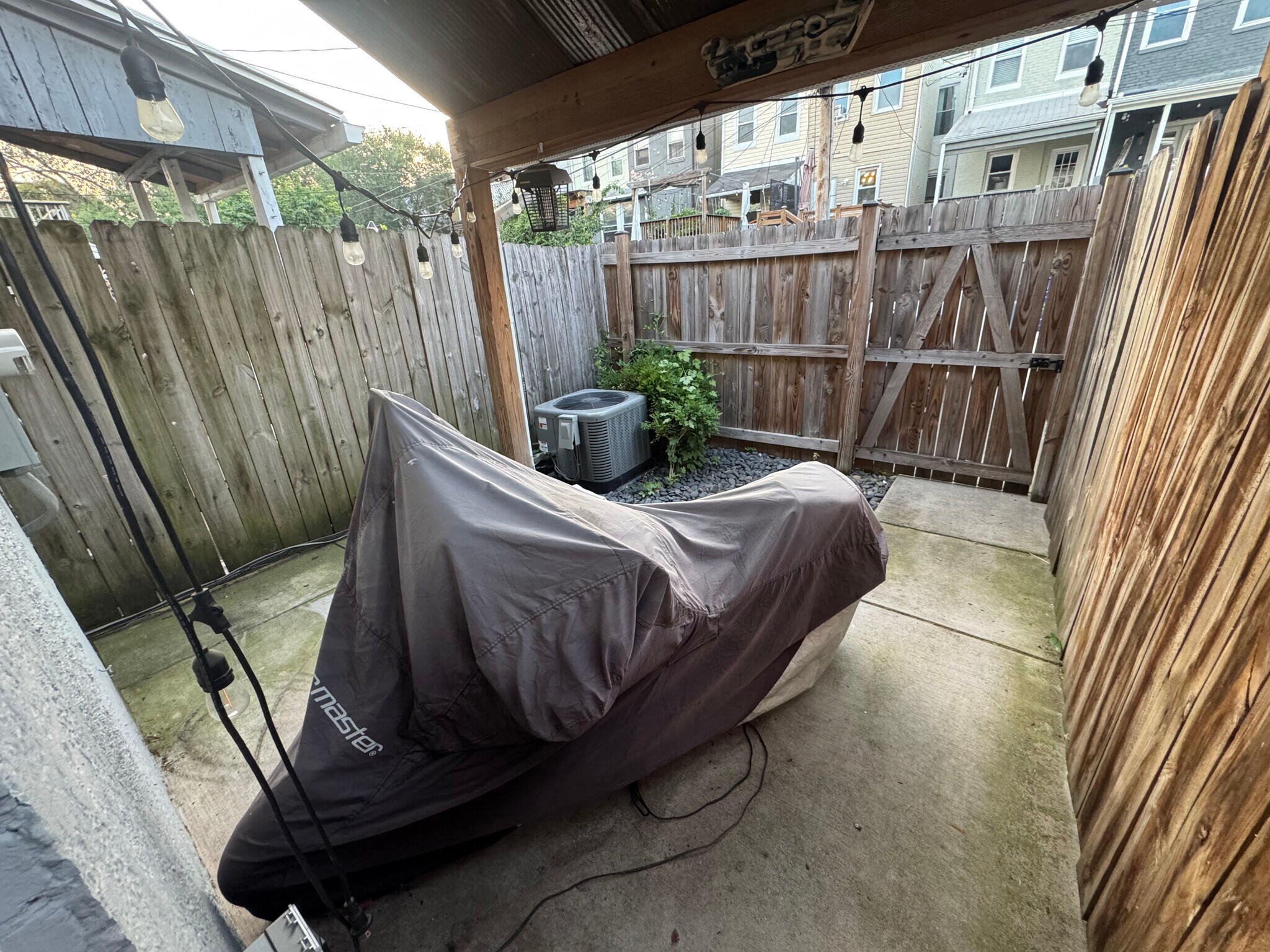 Back yard - 812 W 34th St