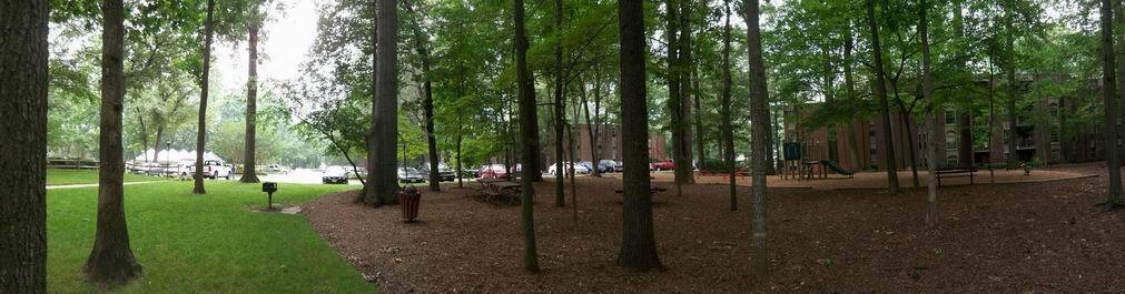 common area - 3326 Woodburn Village Dr