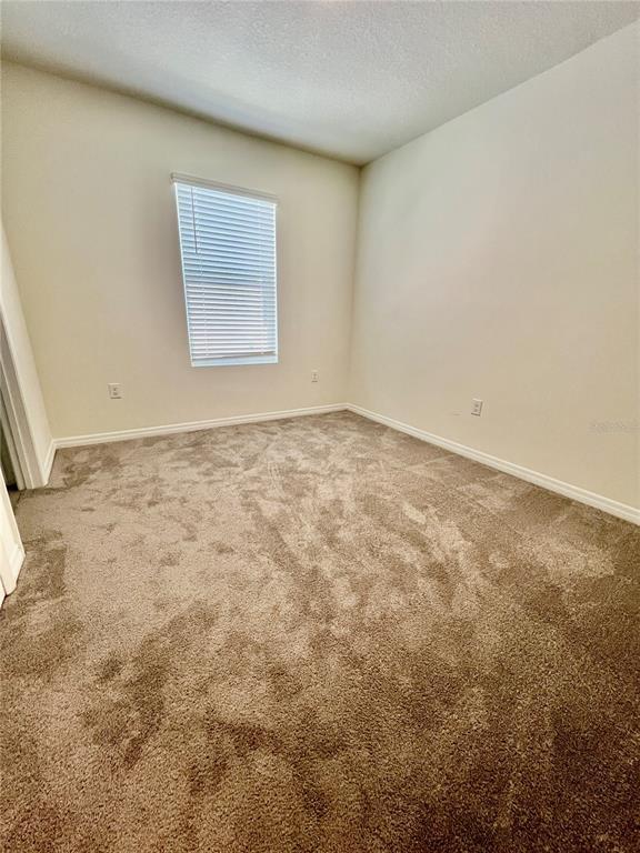Building Photo - 32557 Turtle Grace Lp