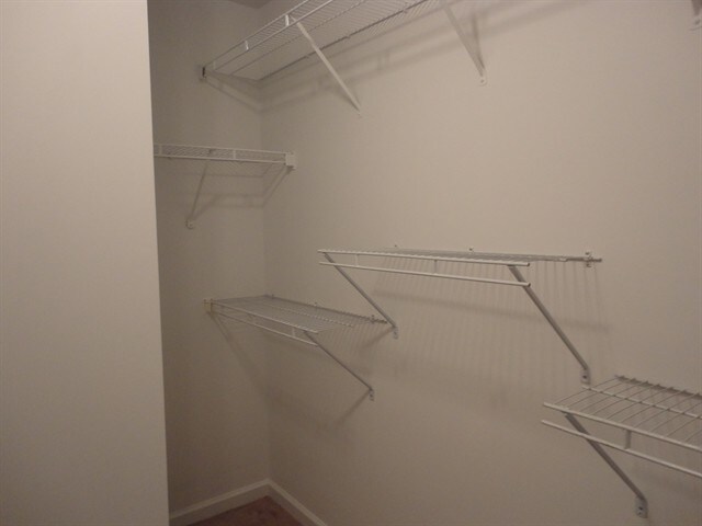 Building Photo - 1533 Virgil Pond Ln