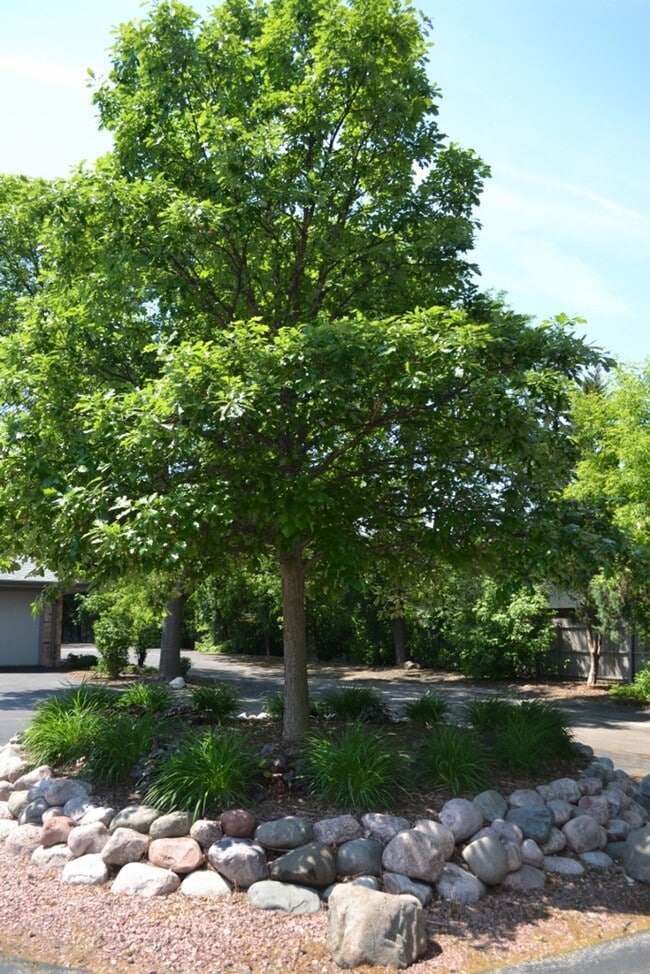Building Photo - Private entry, Park-Like setting