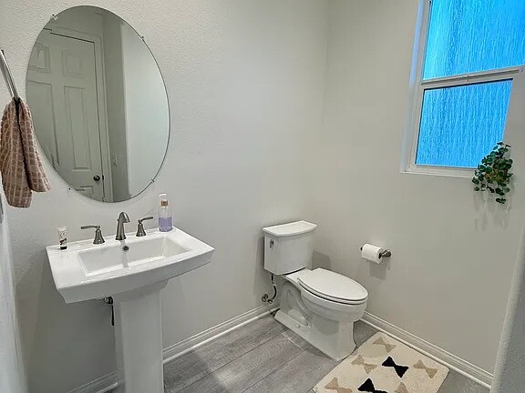 Building Photo - 27104 White Sage Ct