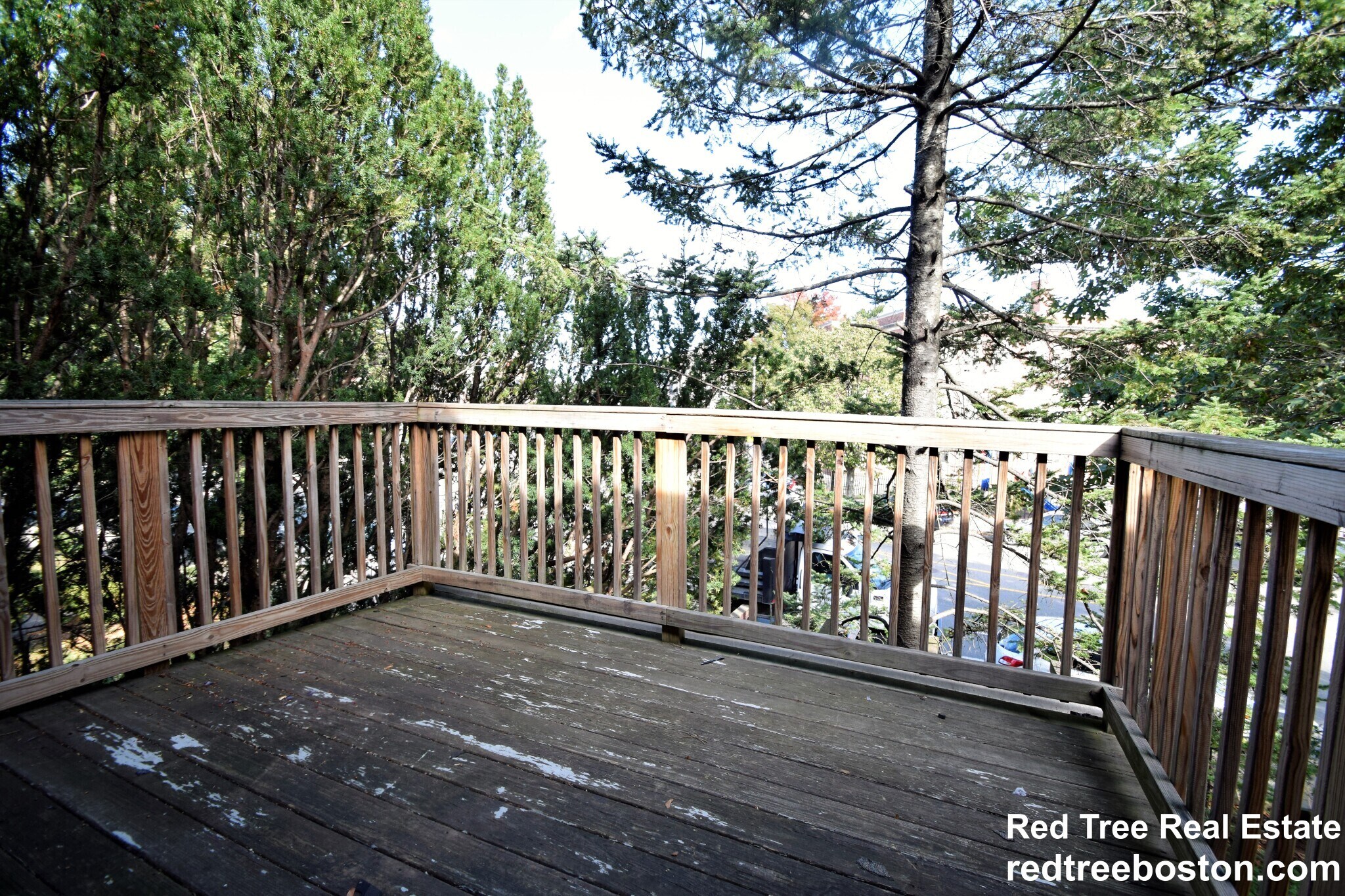 Building Photo - 235 Chestnut Hill Ave