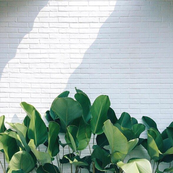 Building Photo - 701 4th St