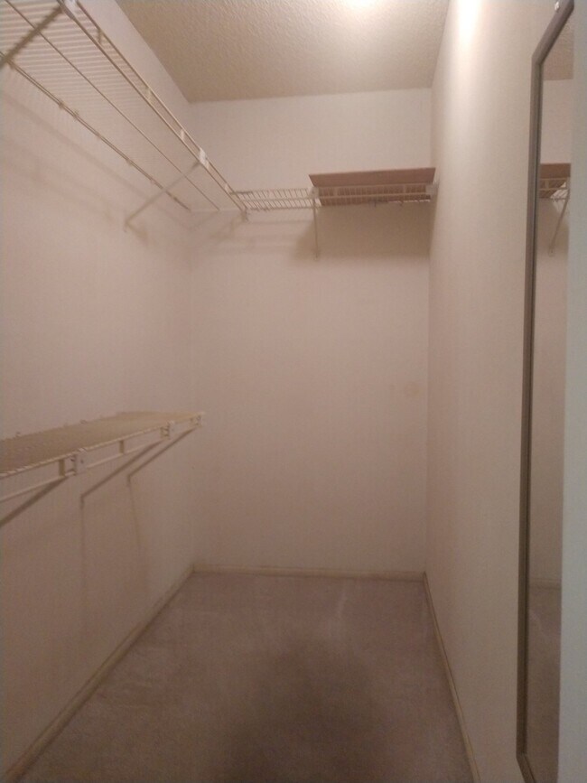 Building Photo - 2 Bedroom/2 Bath Palm Harbor Condo