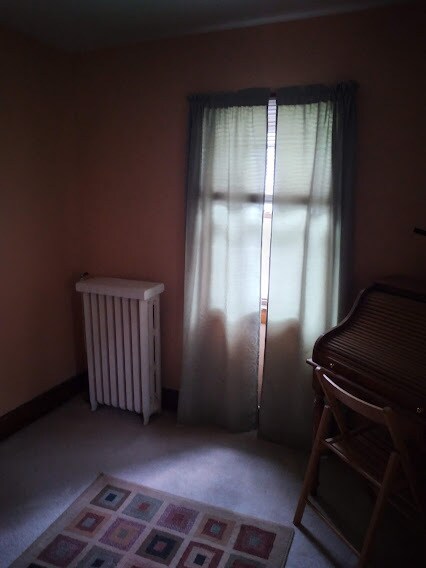 second bedroom window - 255 Wilcox St