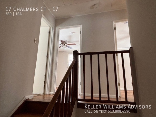 Building Photo - 17 Chalmers Ct