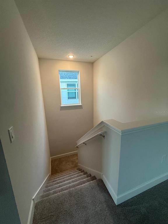 Building Photo - 377 Belmond Dr