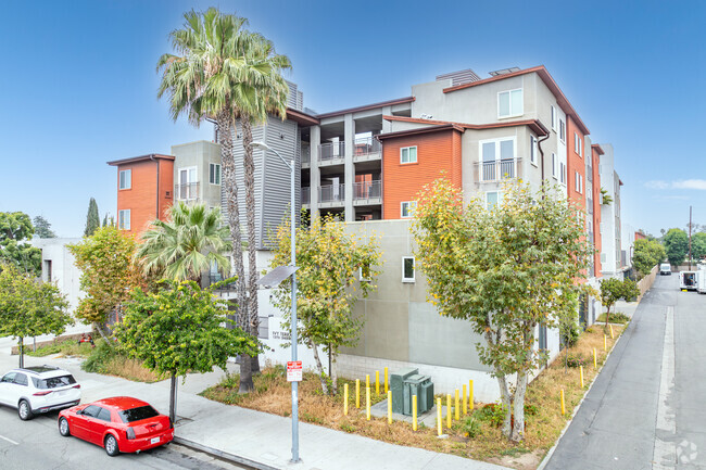 Primary Photo - Ivy Terrace