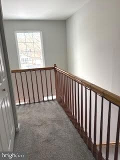 Building Photo - 4908 Tall Cedar Ct