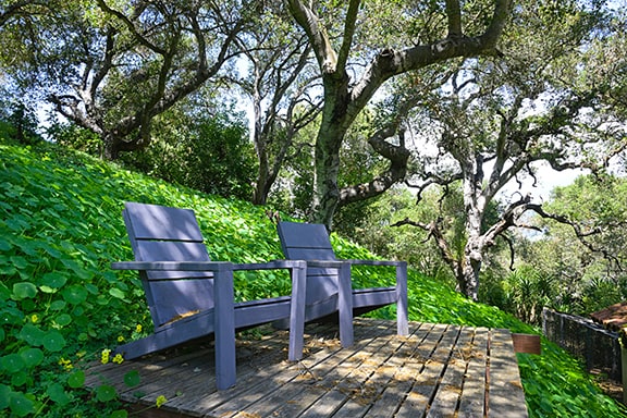 Building Photo - 4449 Vieja Dr