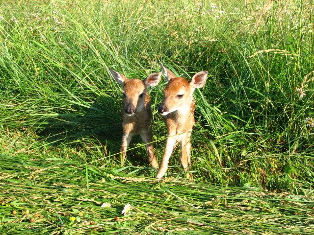 Building Photo - 2284 McKees Rocks Rd