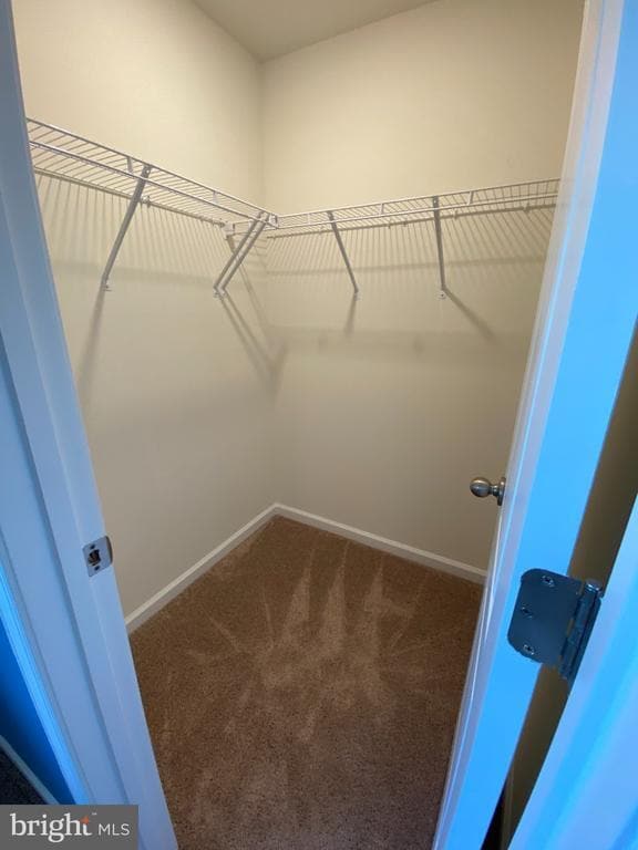 Building Photo - 697 Rivanna Run