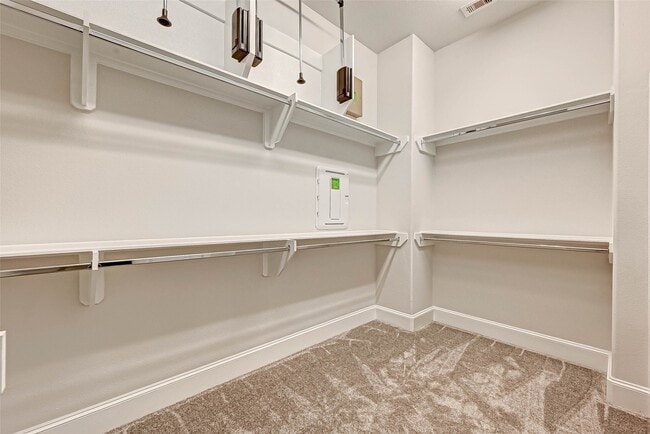 Building Photo - 2234 Lou Ellen Ln