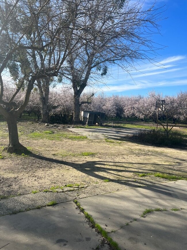 Building Photo - 2 bedroom 2 bath Country House with Big Den