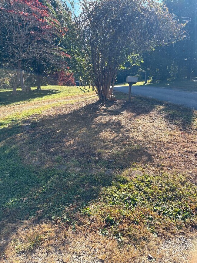 Building Photo - Quiet home close to Asheville