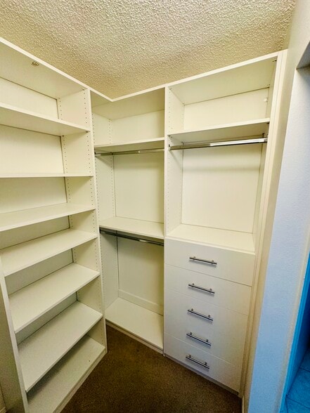 Building Photo - 12213 Augusta Woods Cir