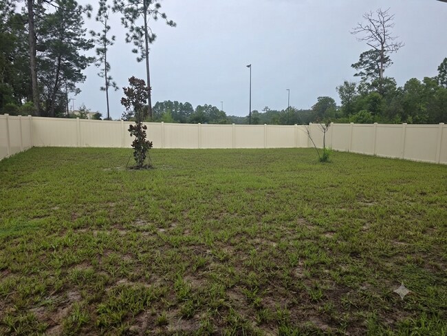 Building Photo - 11472 Timber Grv Ln